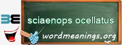 WordMeaning blackboard for sciaenops ocellatus